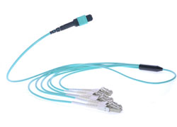 12 Fiber MTP to LC Cable Small